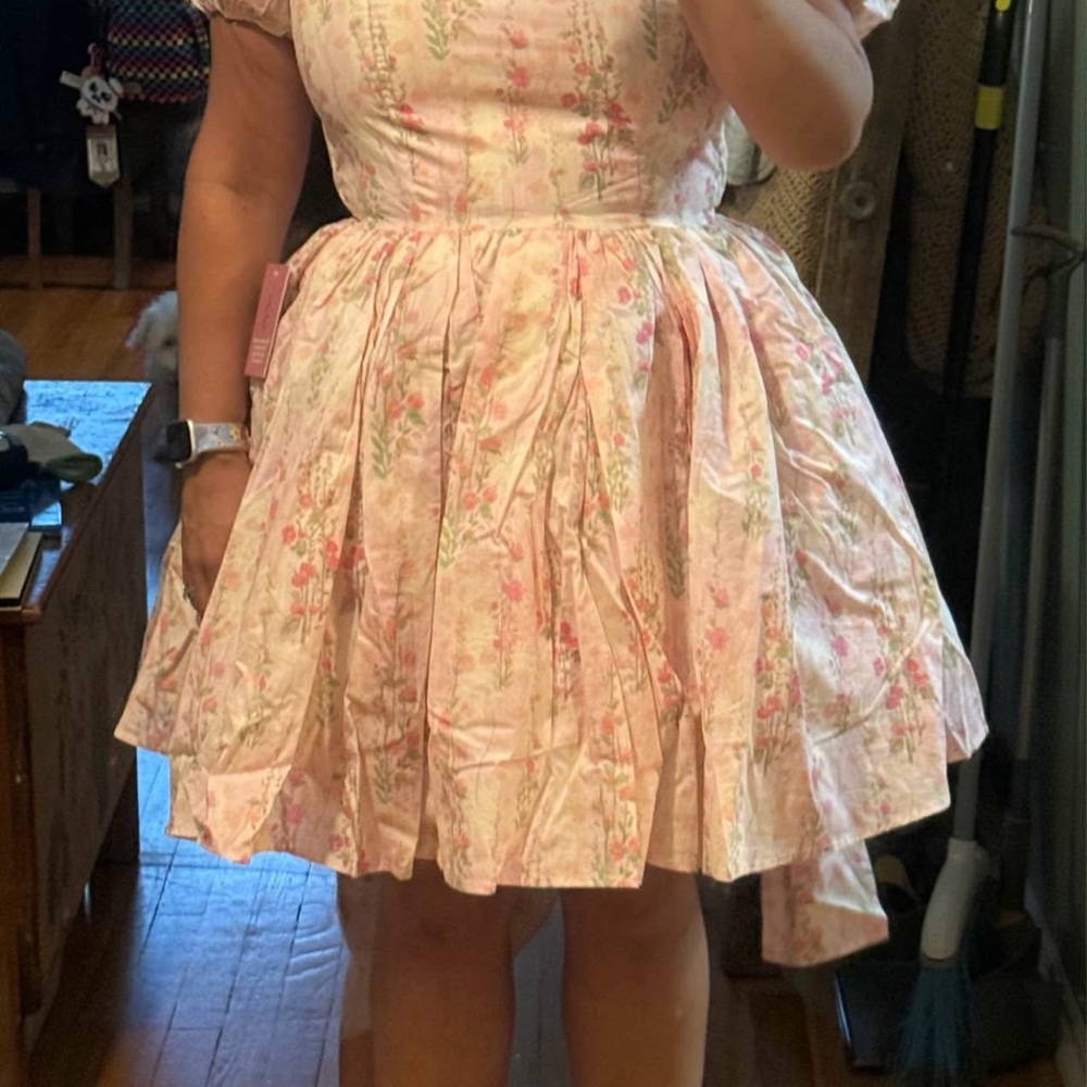Ivy City Co Cupcake Dress